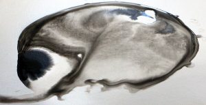 Atelier encre
