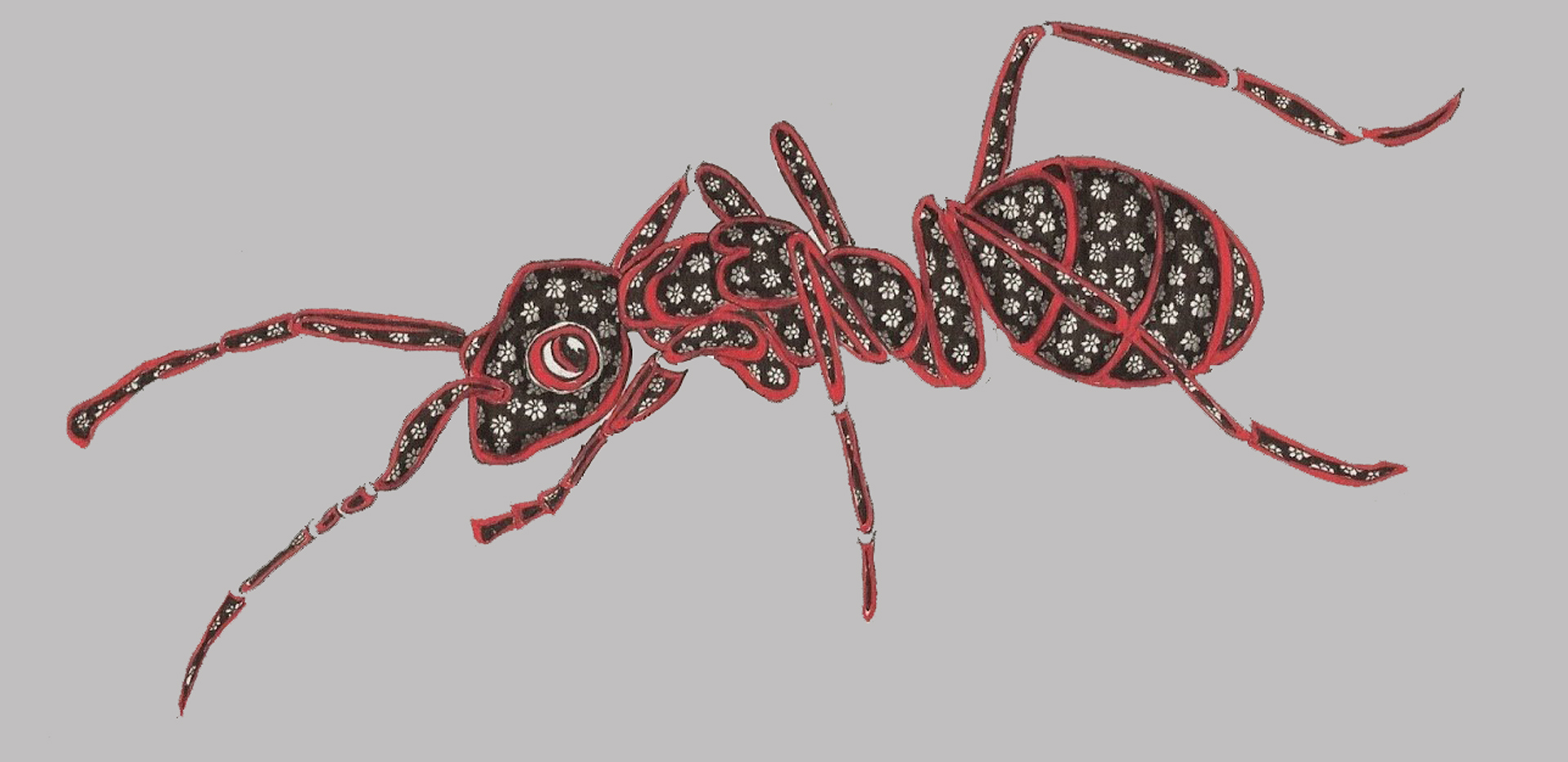 « Nos amis les insectes » atelier animé par Fatiha El Hadi