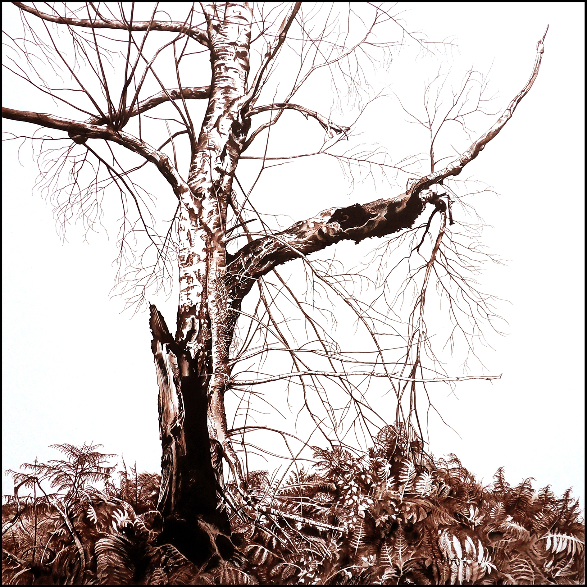 Thrénodie pour un arbre – dessins et photographies de Laurent Claret