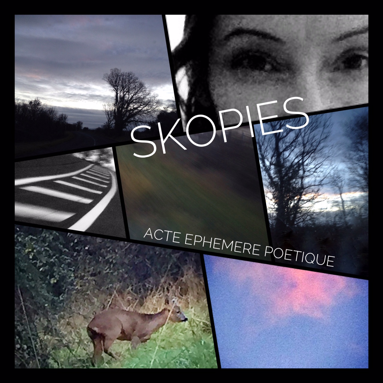 Expositions Les SKOPIES d’H. SKO