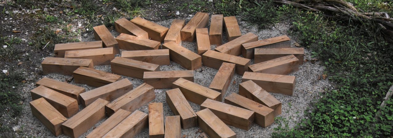 « GAÏA Natura » installation de Louis Viel