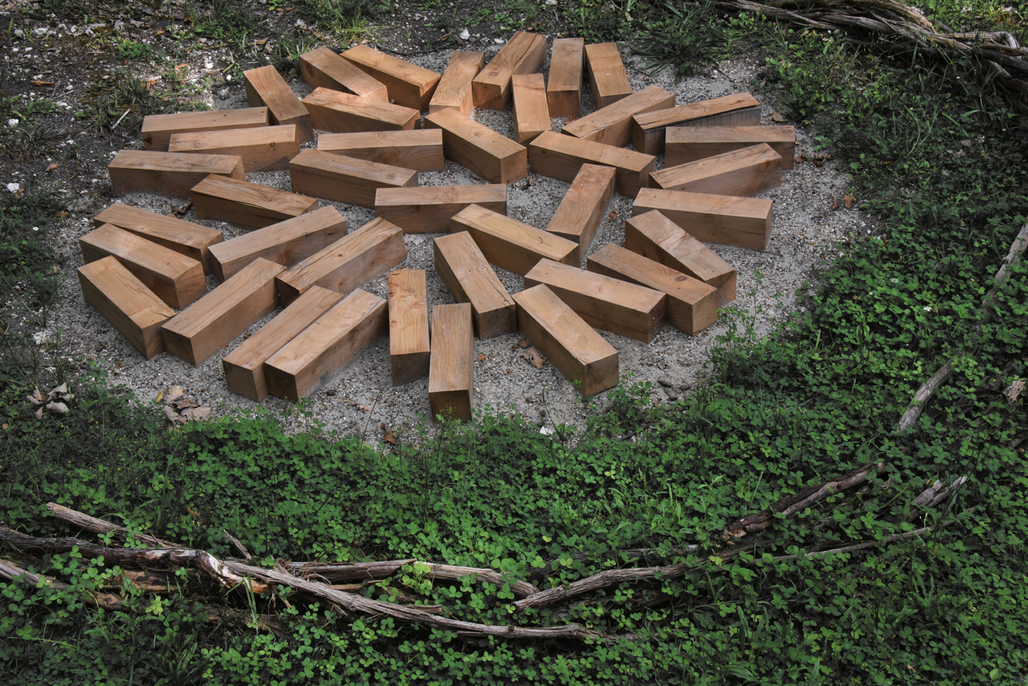 « GAÏA Natura » installation de Louis Viel