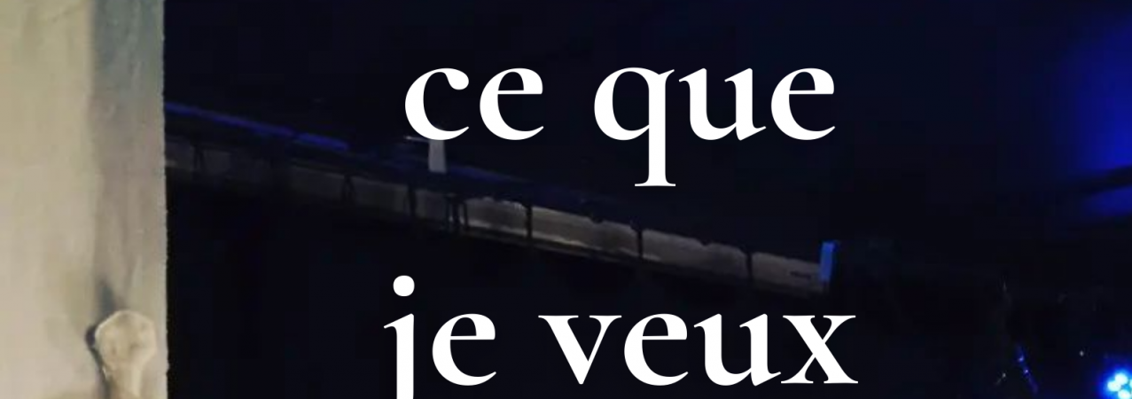 Ce que je veux – 21 et 23 avril à 20h30 – Théâtre Roquelaine