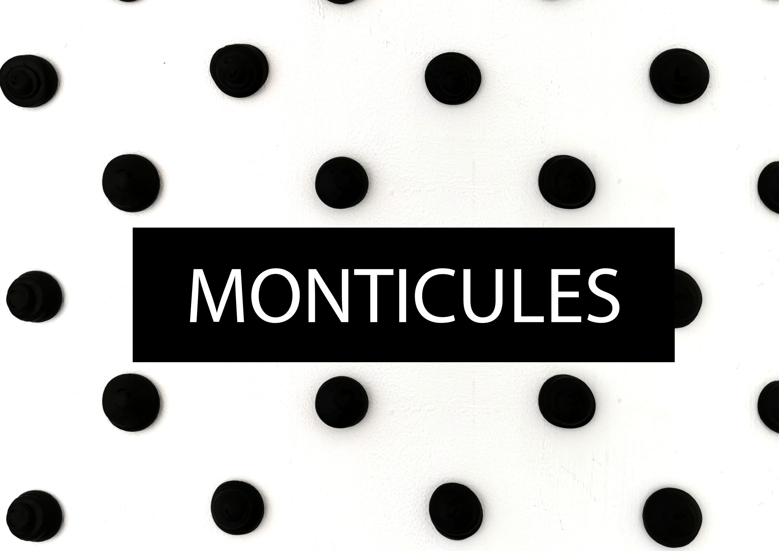 MONTICULES – installation de Mohamed Moumni