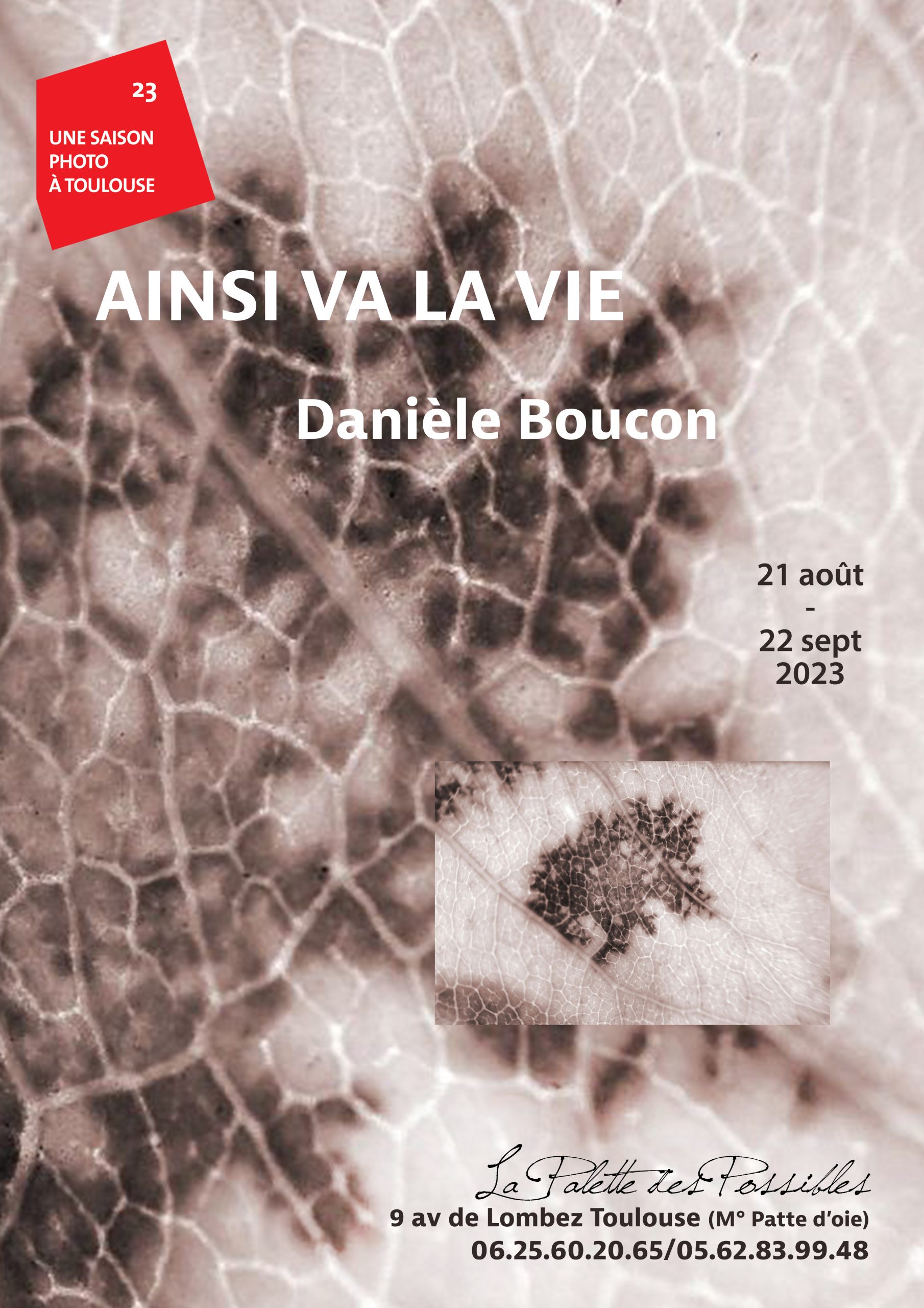 ainsi va la vie – récit photographique de Danièle Boucon