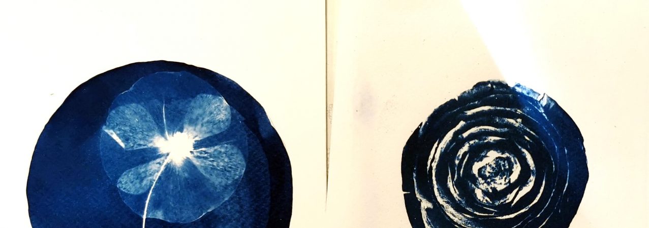 Retour sur l’atelier CYANOTYPE, animé par Mathilde Le Crouérour