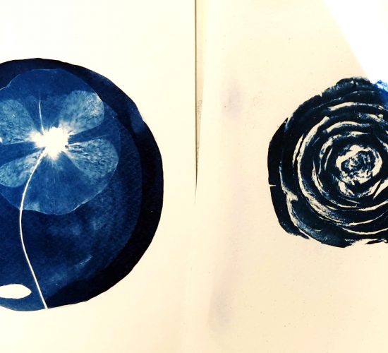 Retour sur l’atelier CYANOTYPE, animé par Mathilde Le Crouérour