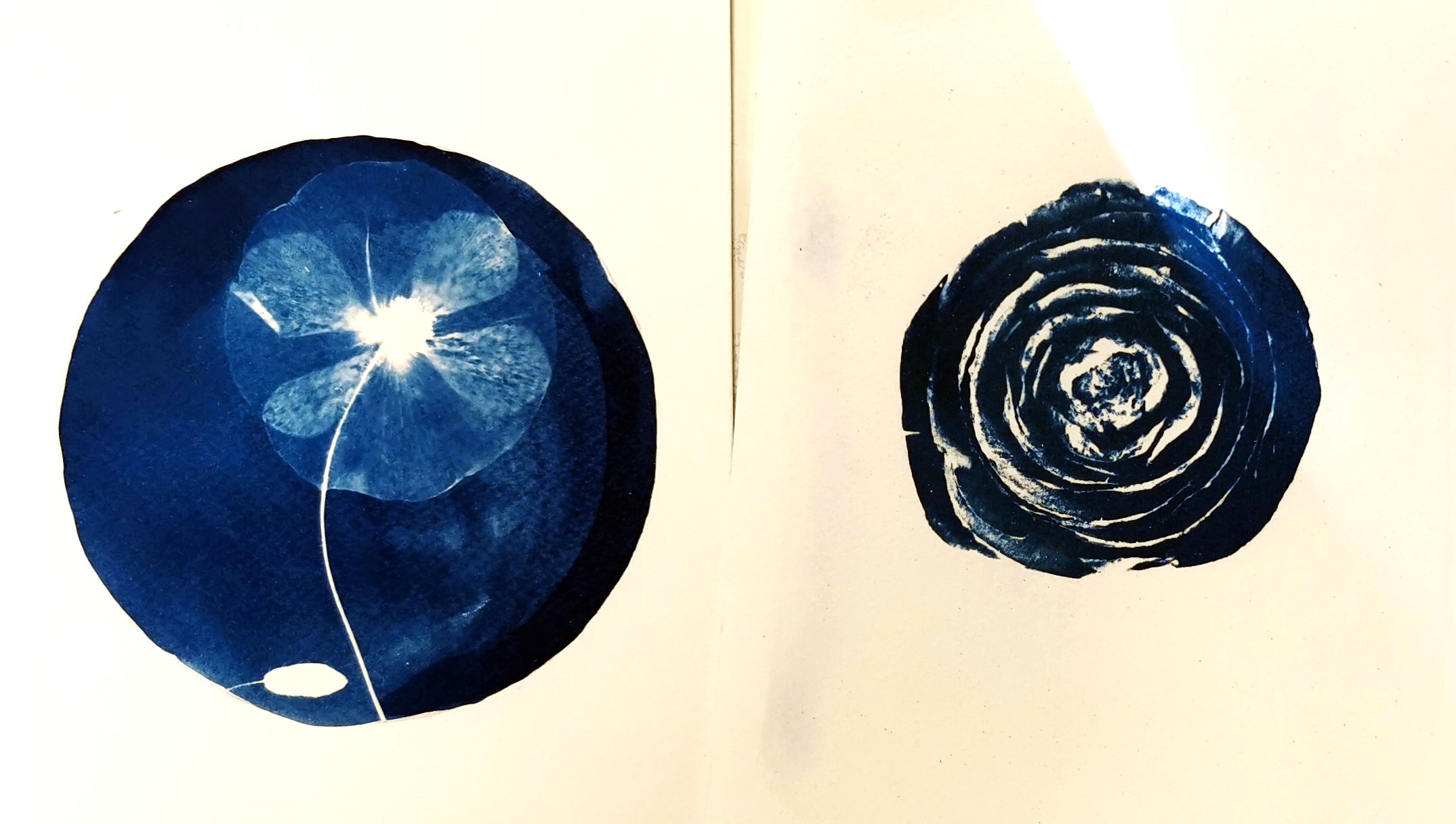 Retour sur l’atelier CYANOTYPE, animé par Mathilde Le Crouérour