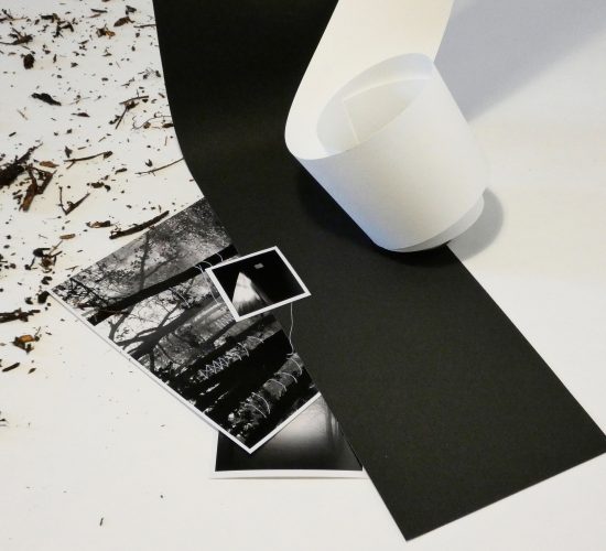 Rentrer dans l&rsquo;image – installation photographique de Nicole Congard