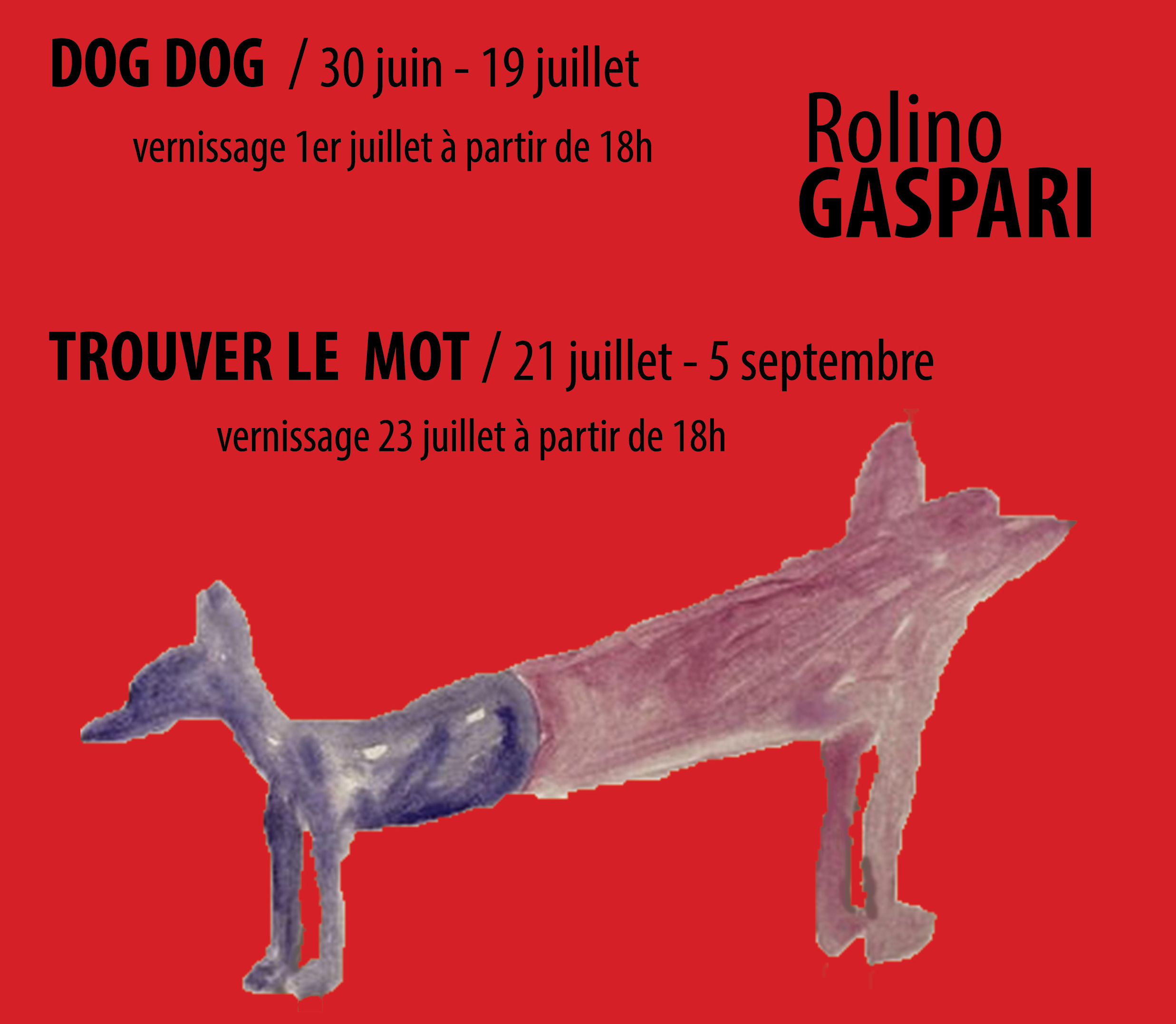 DOG DOG – Rolino GASPARI